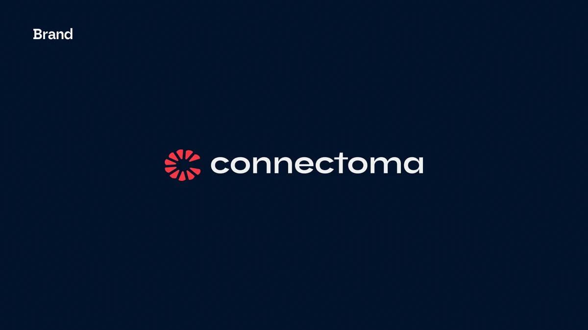 Connectoma - Branding y Website para startup de diagnóstico por IA