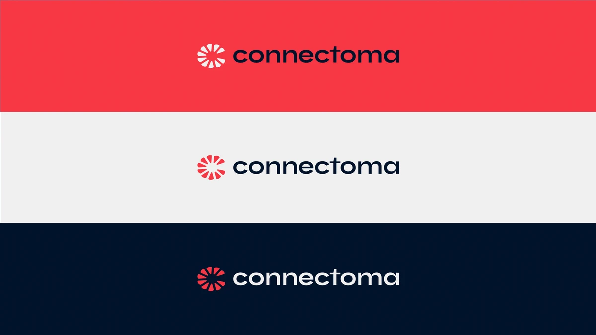 Connectoma - Branding y Website para startup de diagnóstico por IA